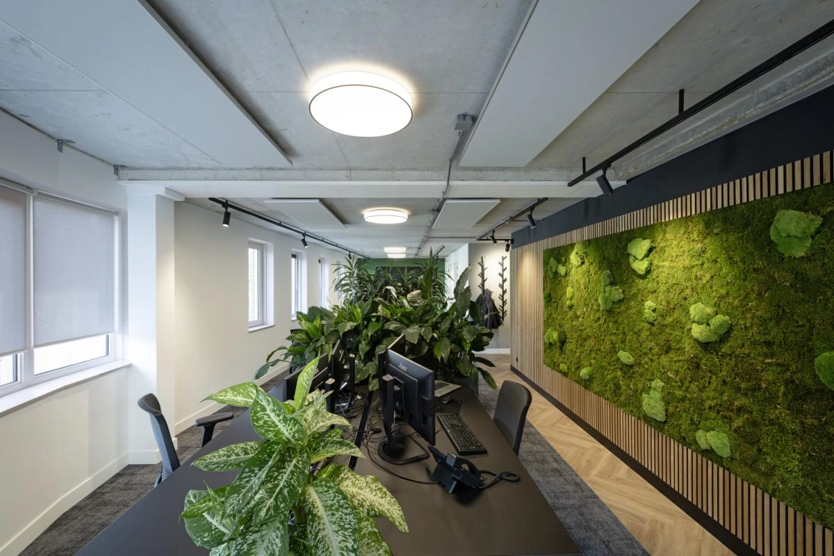 Railspot 3-fase Numinos M Dali zwart 3000K - 36gr SLV 4024163246170