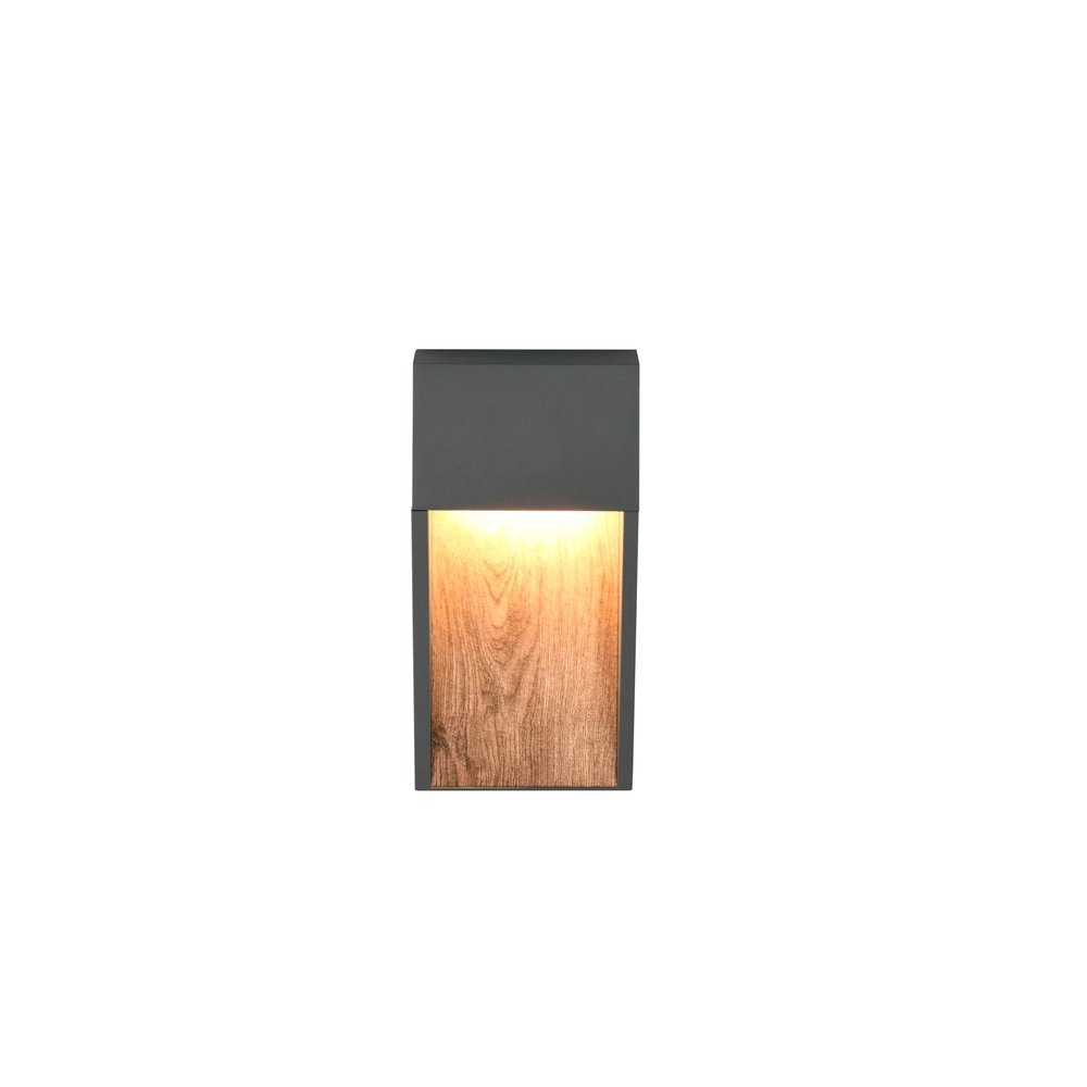 Design wandlamp Salmon grijs met hout Trio 4017807603705
