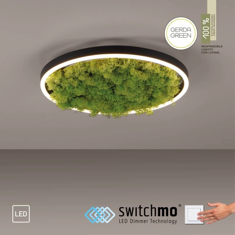 Plafondlamp Green Ritus met mos Ø 39,3cm Just Light 4043689994792
