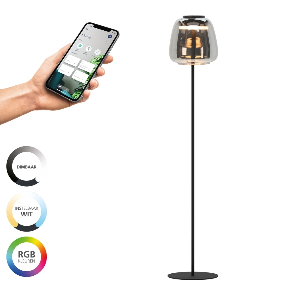 Vloerlamp Alfero-Z smoke glas - app bediening