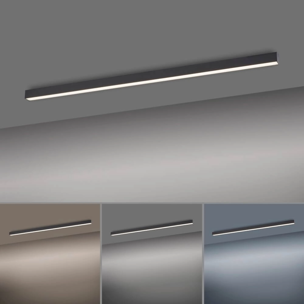 Strakke plafondlamp Pure Lines Straight antraciet Paul Neuhaus 4012248357903