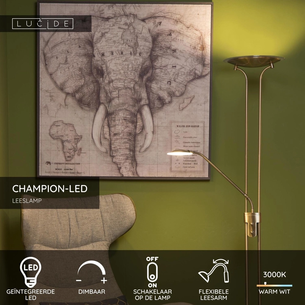 Leeslamp Champion-Led brons Lucide 5411212193872