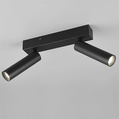Slanke plafondspot Ambala 2x led - zwart