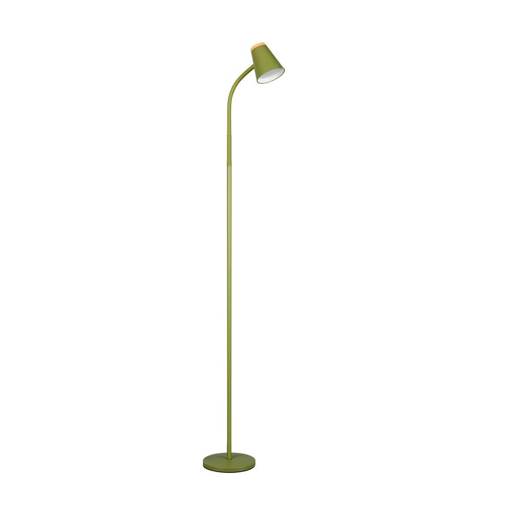 Vloerlamp Pongo groen Trio 4017807642872