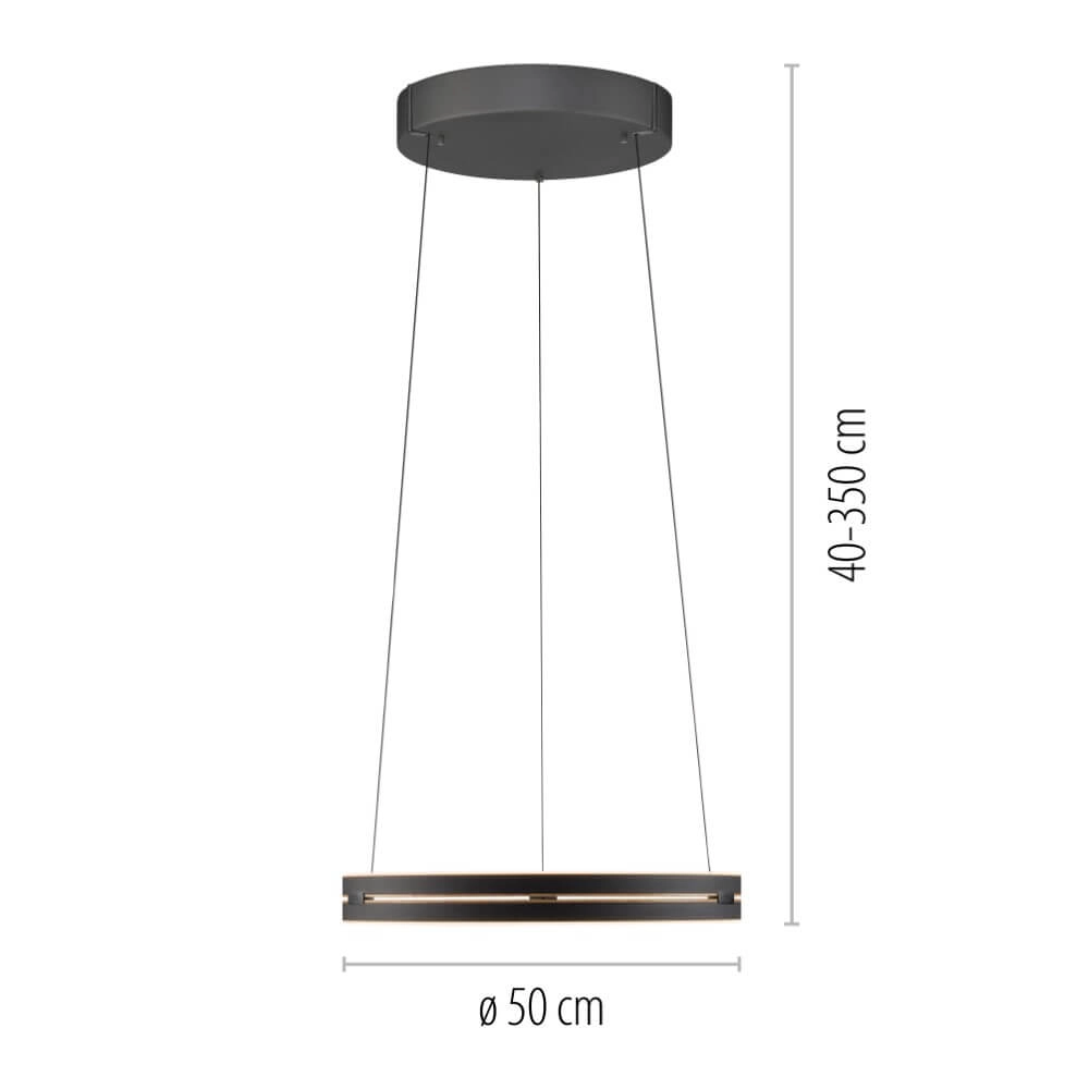 Strakke hanglamp Pure E-Loop zwart Paul Neuhaus 4012248386224