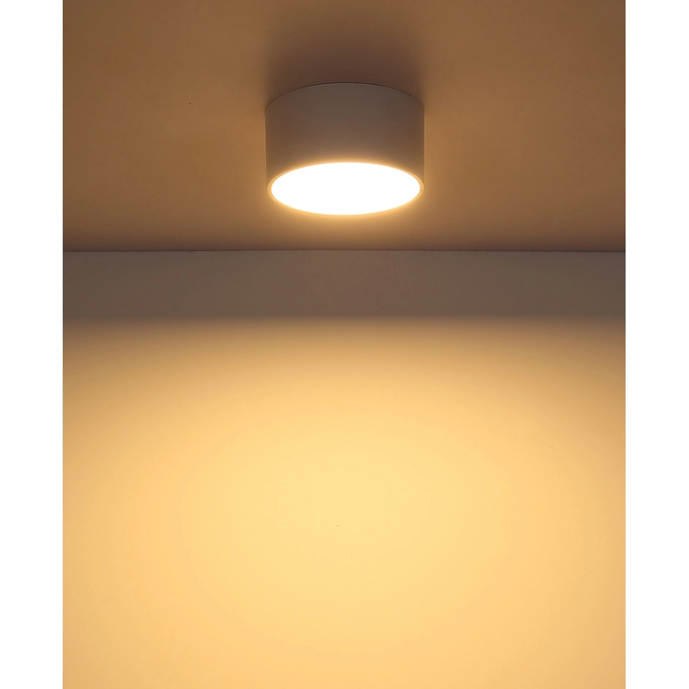 Plafondlamp Raymond wit Globo 9007371531868