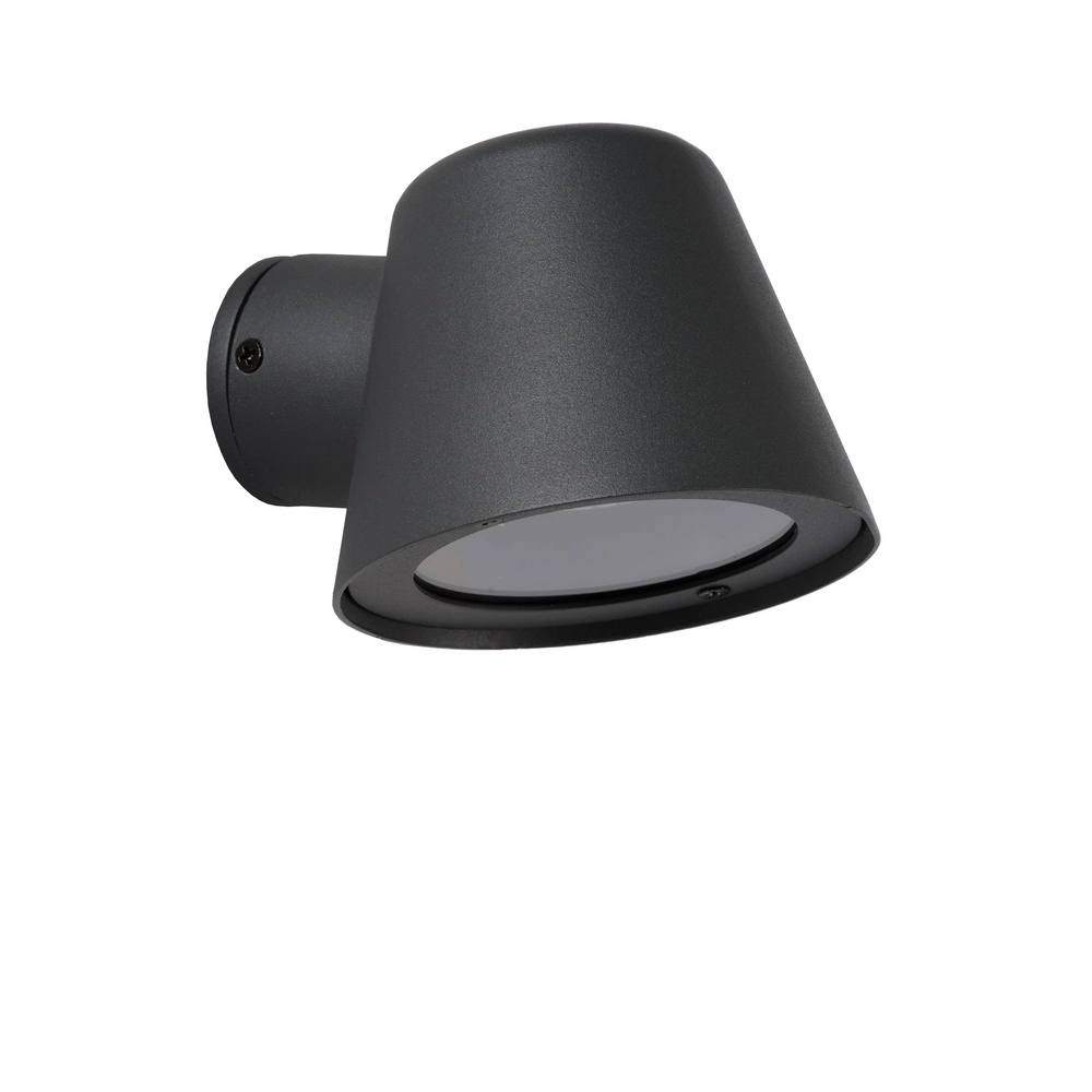 Wandspot Dingo-Led IP44 antraciet