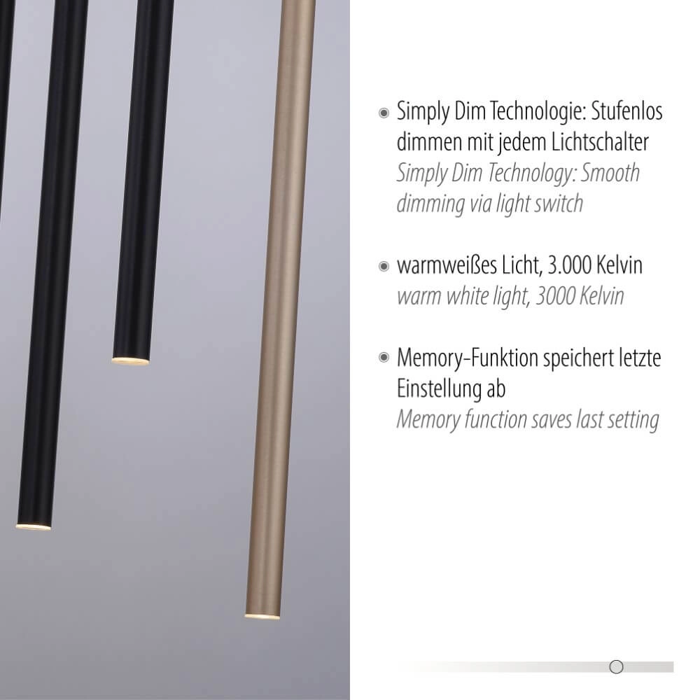 Unieke hanglamp Flute 10-lichts Paul Neuhaus 4012248374788