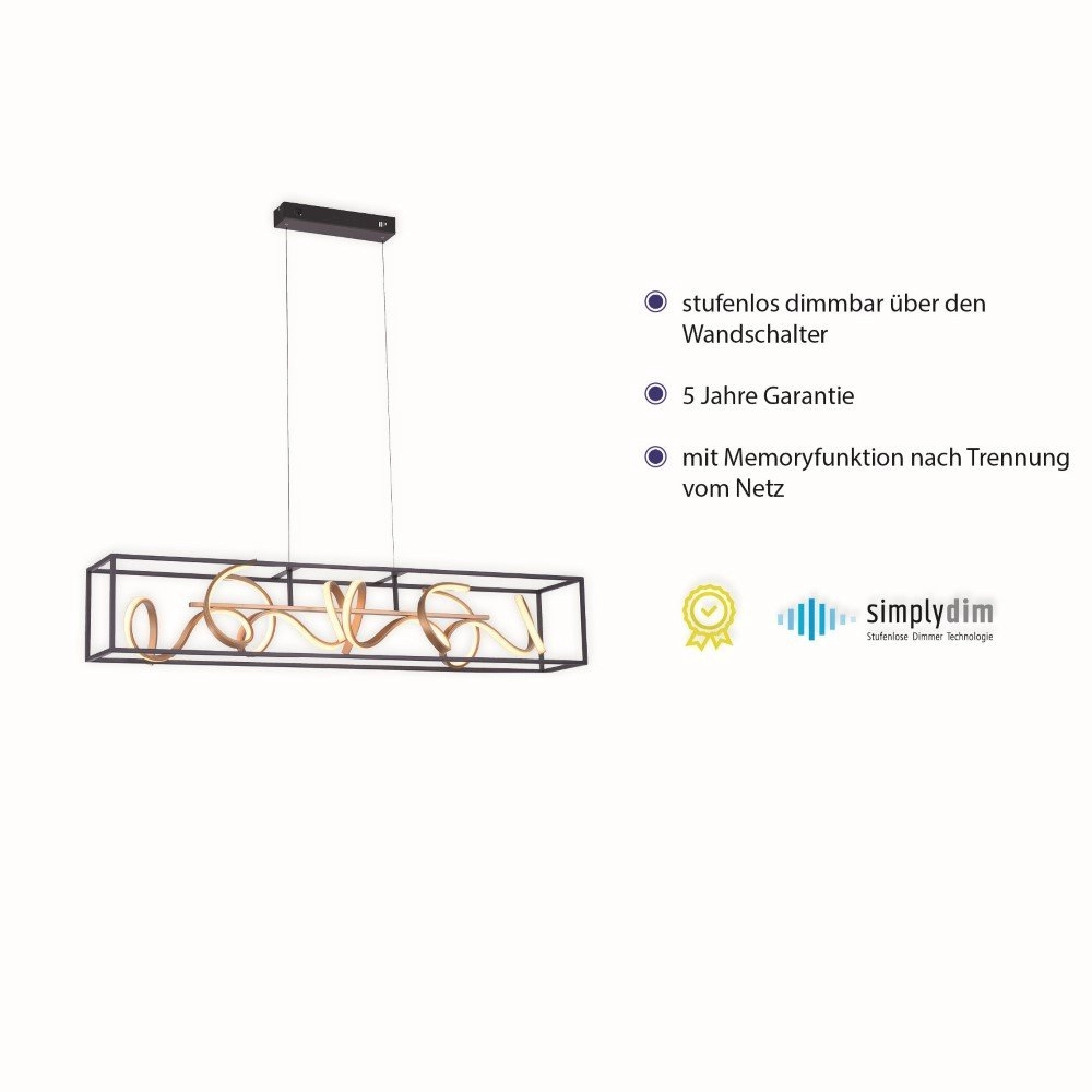 Zwart gouden hanglamp Selina Paul Neuhaus 4012248351109