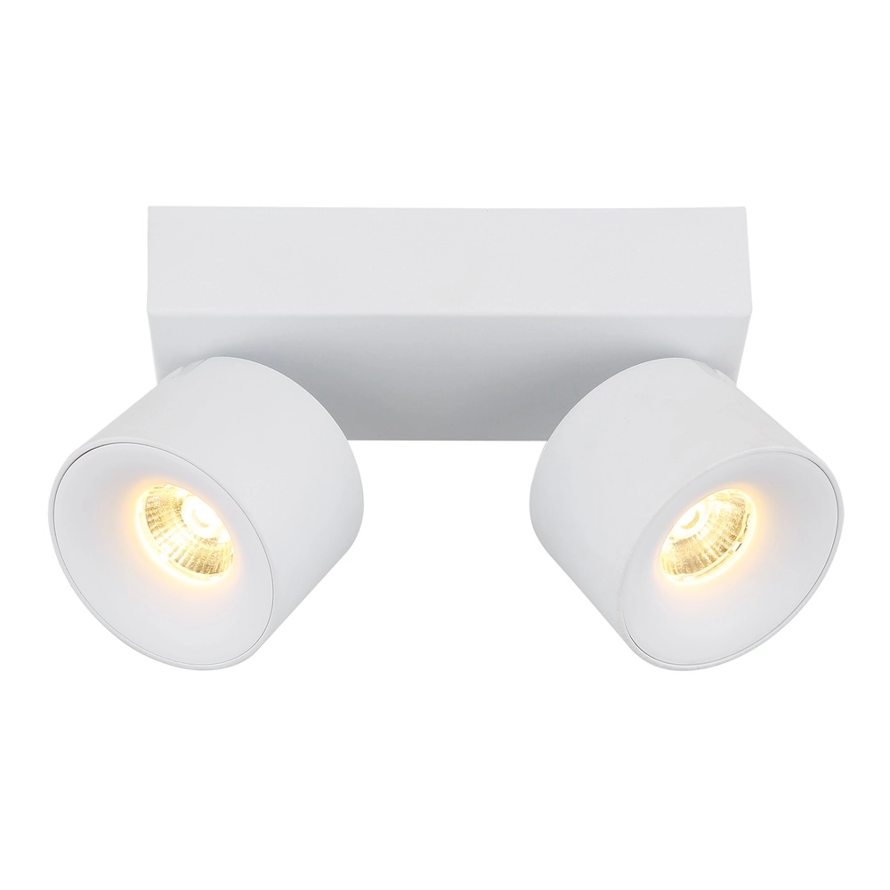 Strakke plafondlamp Rae 2-lichts wit Globo 9007371450640