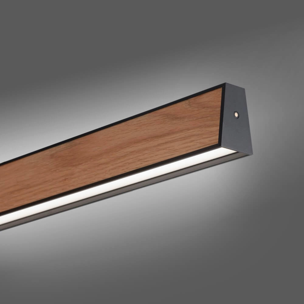 Design hanglamp Pure E-Motion hout Paul Neuhaus 4012248372937