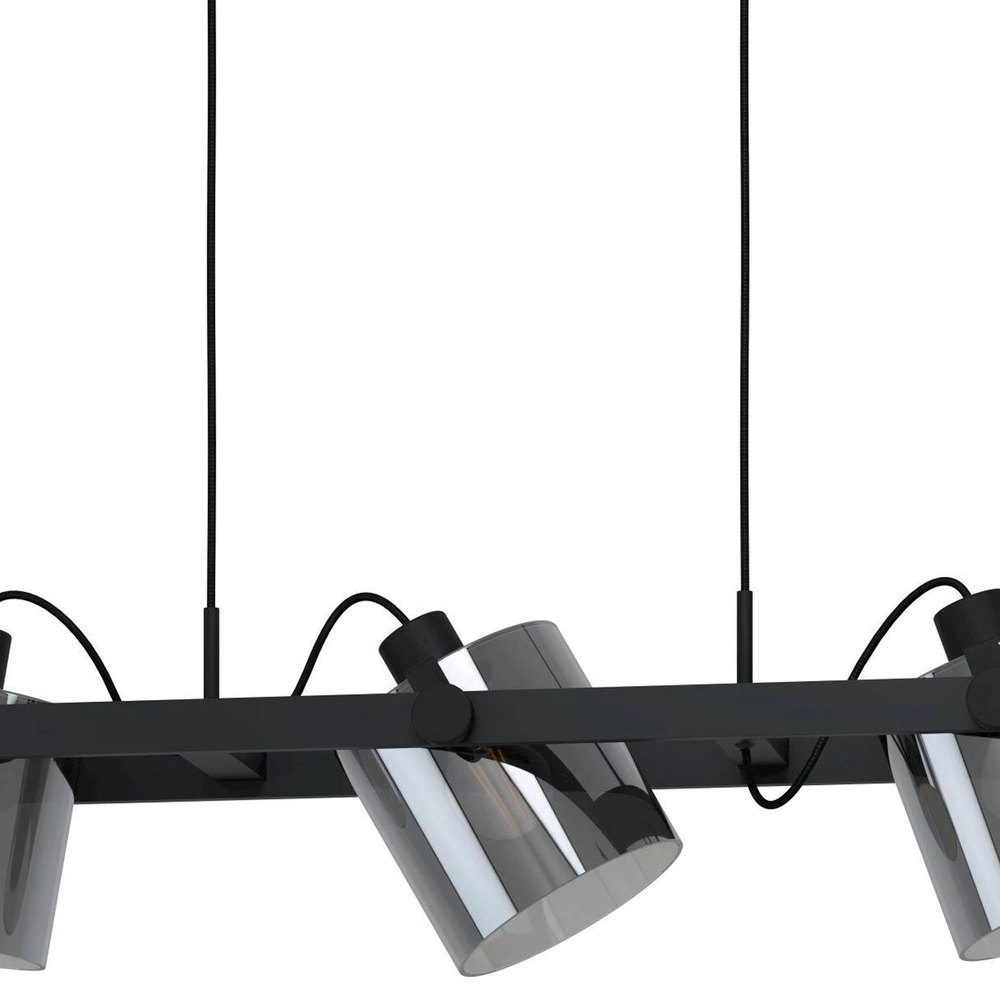 3L hanglamp Hornwood 2 zwart met smoke glas Eglo 9002759436063