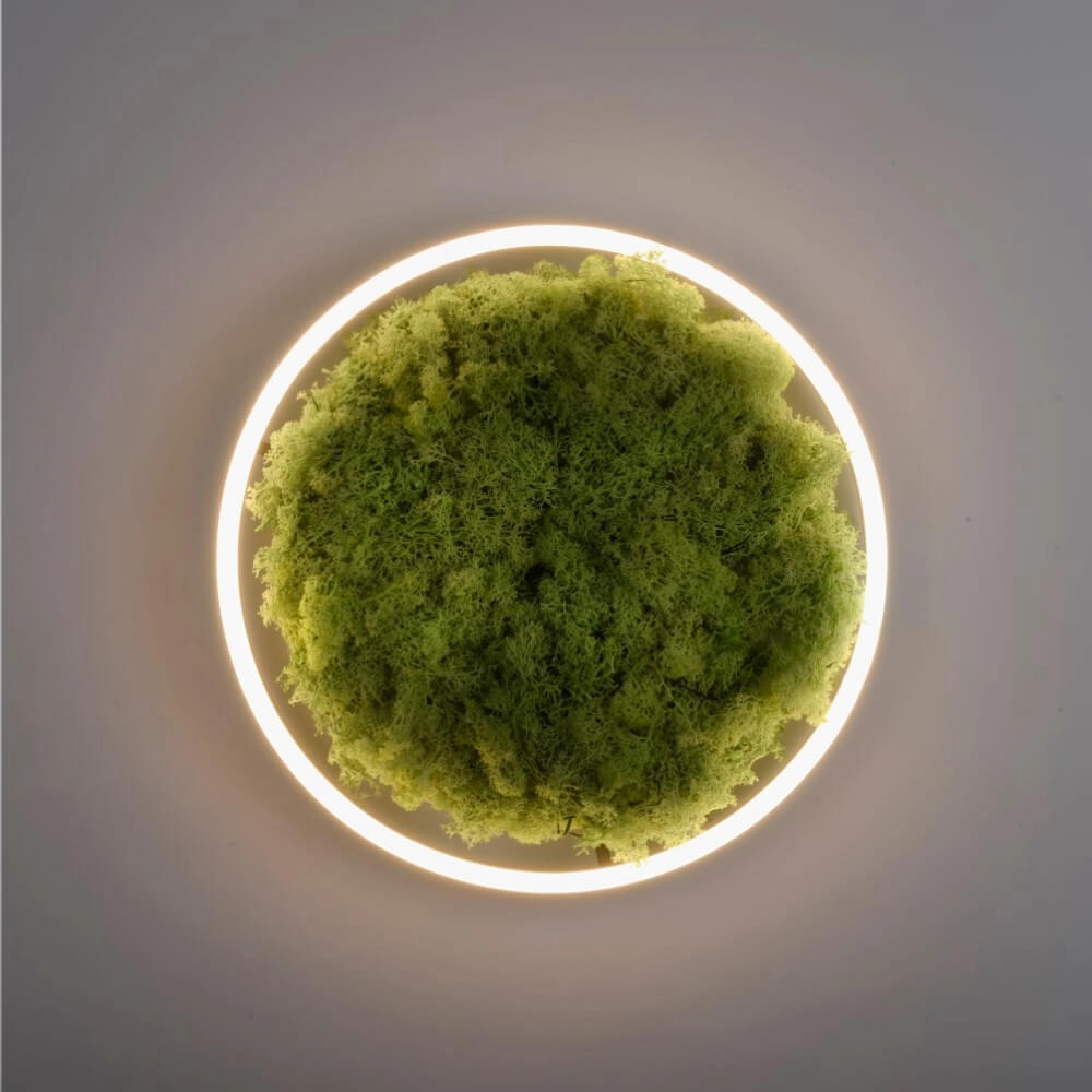Plafondlamp Green Ritus met mos Ø 39,3cm Just Light 4043689994792