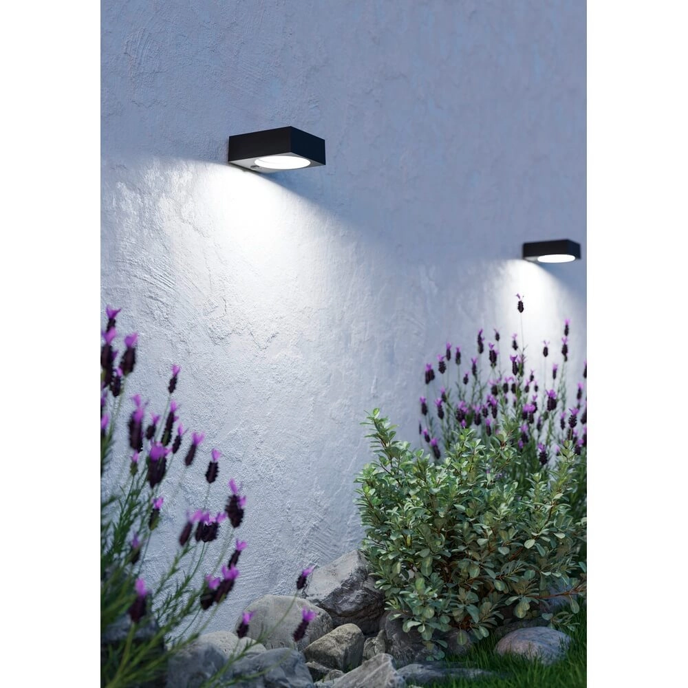 Design wandlamp Darfano zwart Eglo 9008606355013