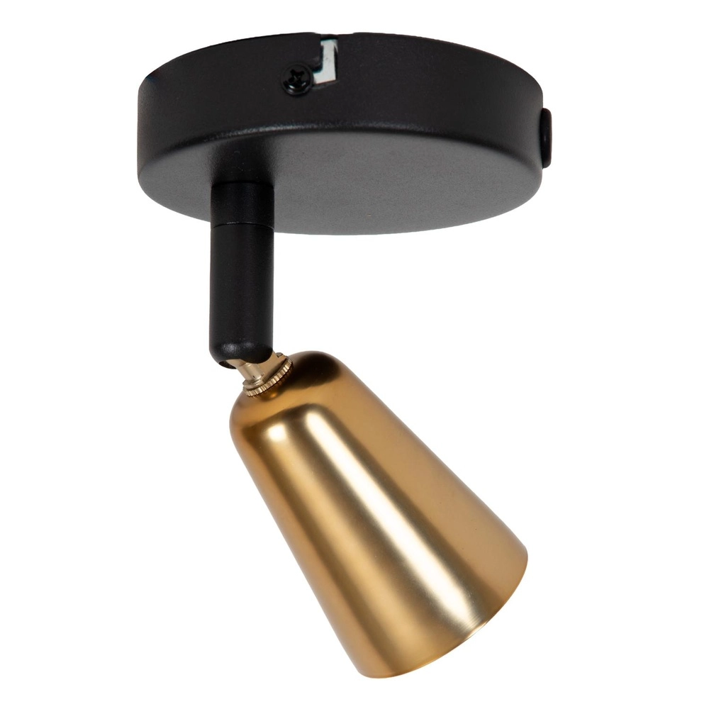 Plafondspot Tiana champagne Lucide 5411212650344