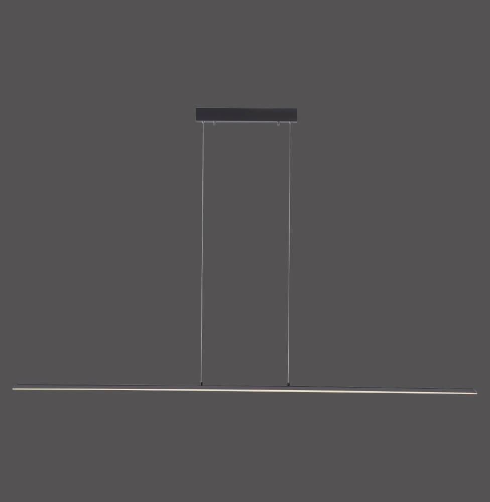Design hanglamp Pure Lite 160cm antraciet Paul Neuhaus 4012248344897