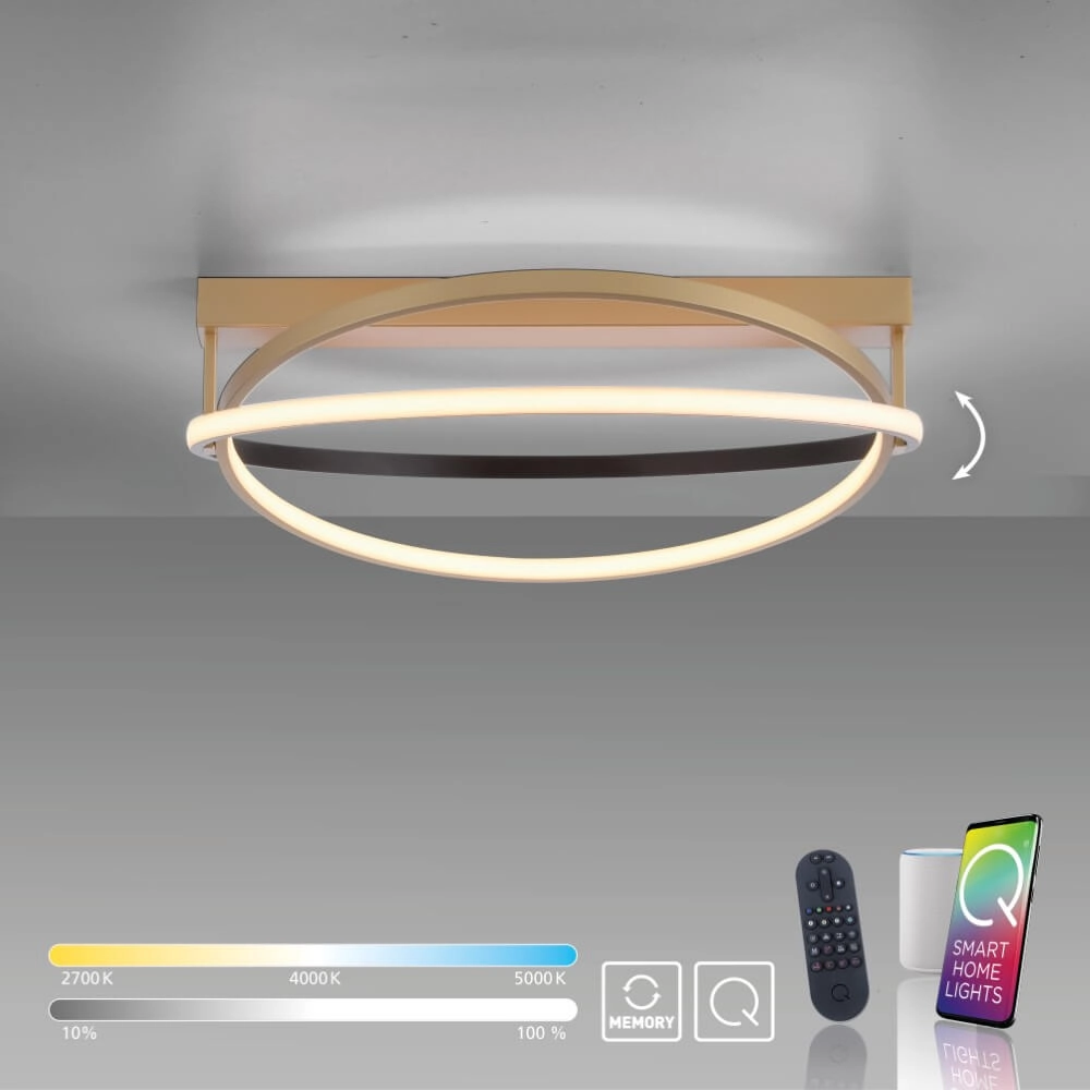 Plafondlamp Q-Beluga messing Paul Neuhaus 4012248373606