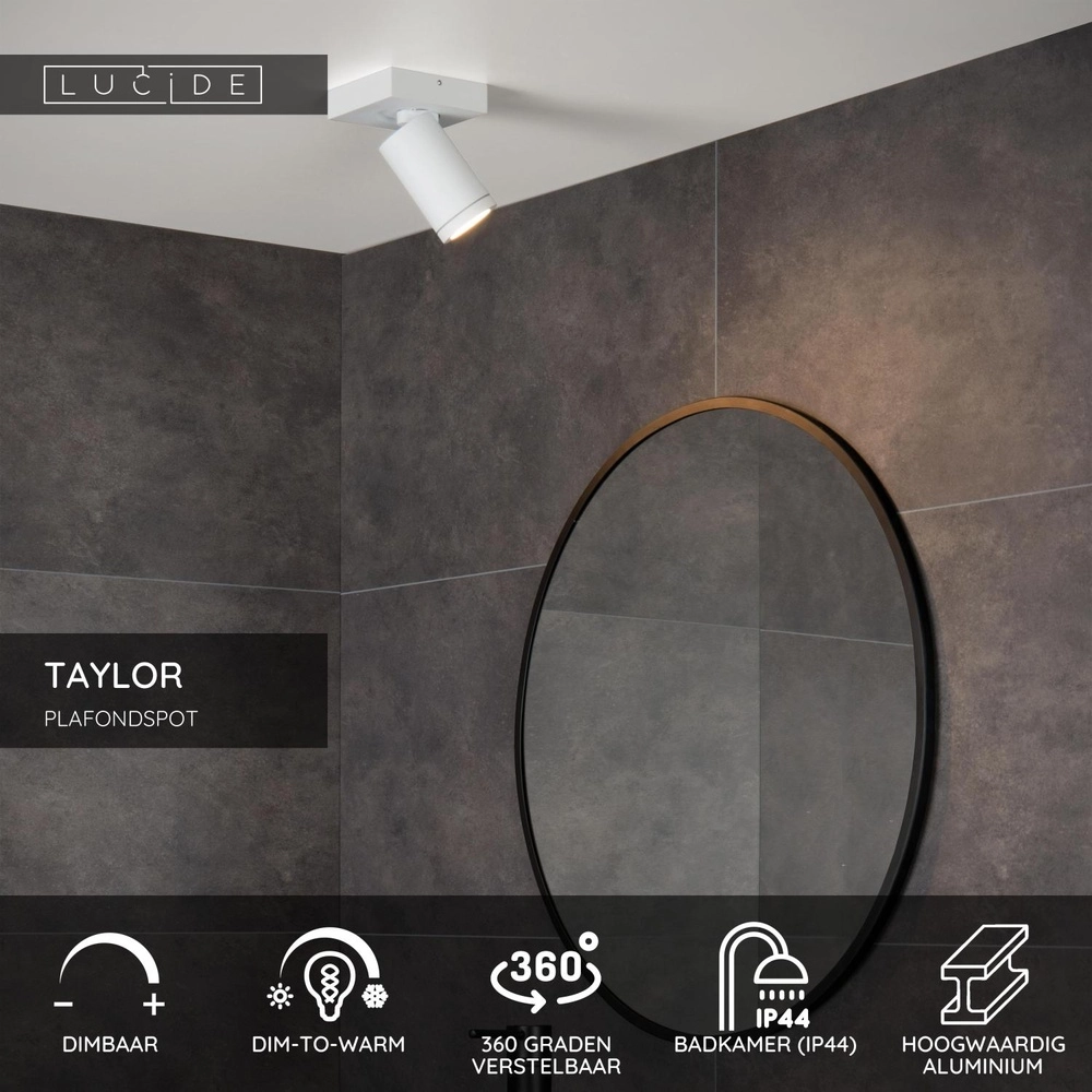 Plafondspot Taylor IP44 enkel wit Lucide 5411212092625