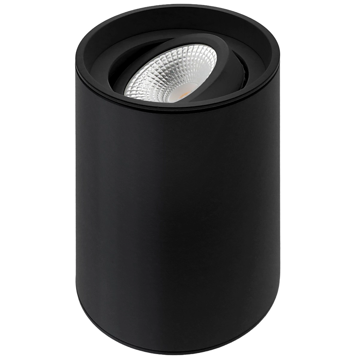 Opbouwspot Viggo 1x GU10 - zwart