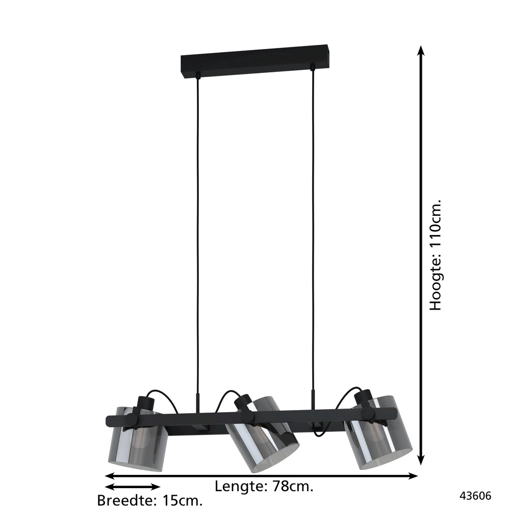 3L hanglamp Hornwood 2 zwart met smoke glas Eglo 9002759436063