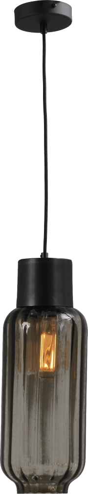 Zwarte design hanglamp Lett ll met smoke glas Masterlight 8718121181233