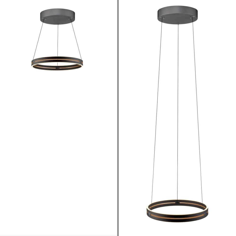 Strakke hanglamp Pure E-Loop zwart Paul Neuhaus 4012248386224