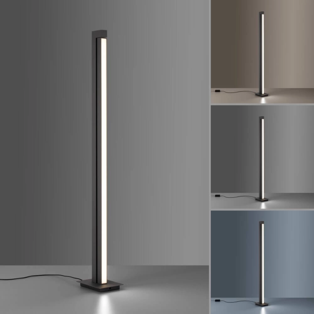 Vloerlamp Pure-Lines antraciet Paul Neuhaus 4012248366325