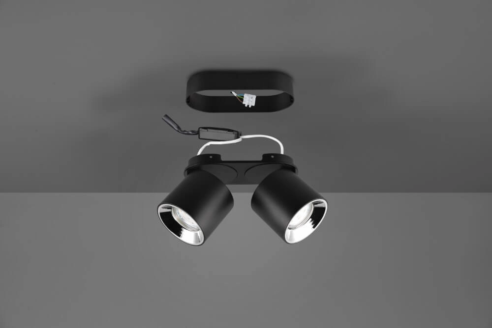 Plafondlamp Guayana 2-lichts zwart Trio 4017807573961