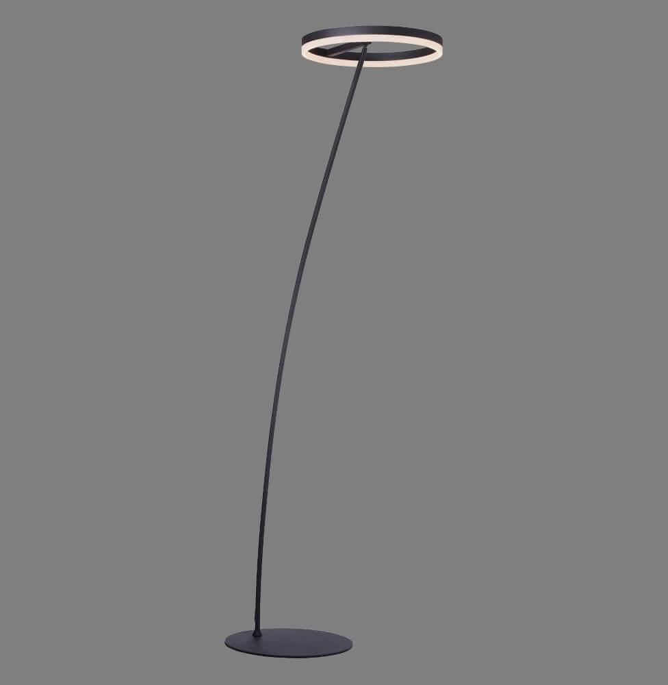 Antraciete vloerlamp Titus modern Paul Neuhaus 4012248357637
