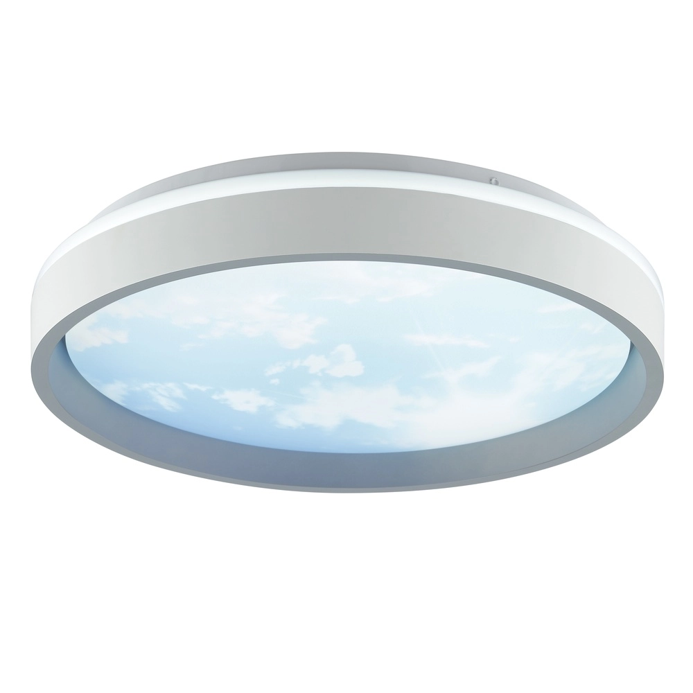 Plafonniere Sky-Dream wit met grijs Ø 39cm Brilliant 4004353473982
