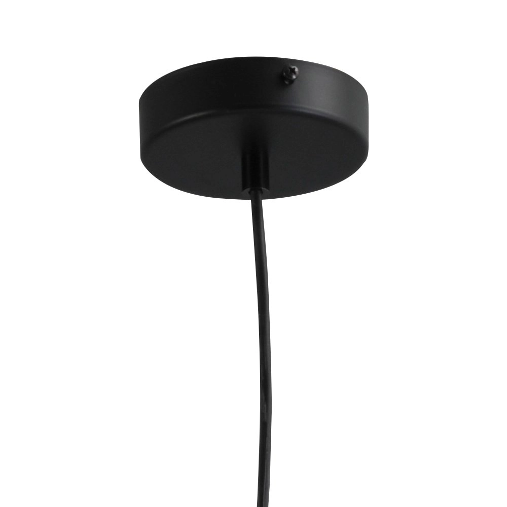 Leuk hanglampje zwart Concepto 16 Masterlight 8718121238241