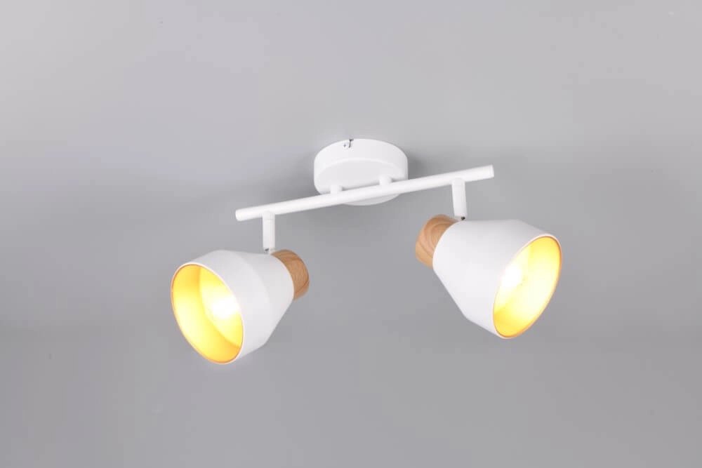 Design plafondlamp 2-lichts Valentin wit Trio 4017807637427