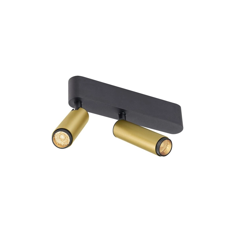 Opbouwspot Grip! S 2-lichts goud 2700K