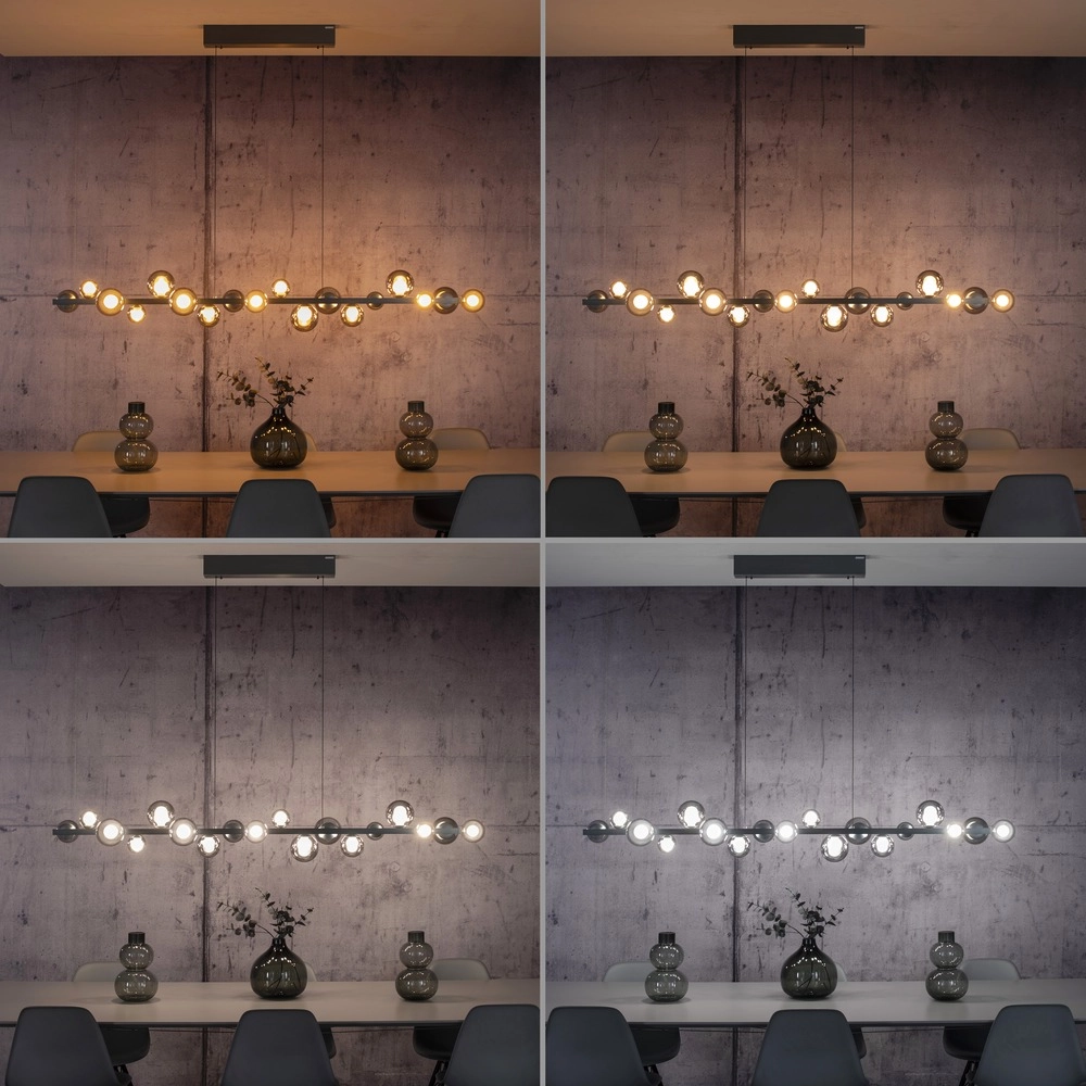 Eettafel hanglamp Pure E-Popup 18L - met smoke glas Paul Neuhaus 4012248396452