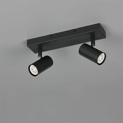 Opbouwspot Taryn 2-lichts zwart Trio 4017807685558