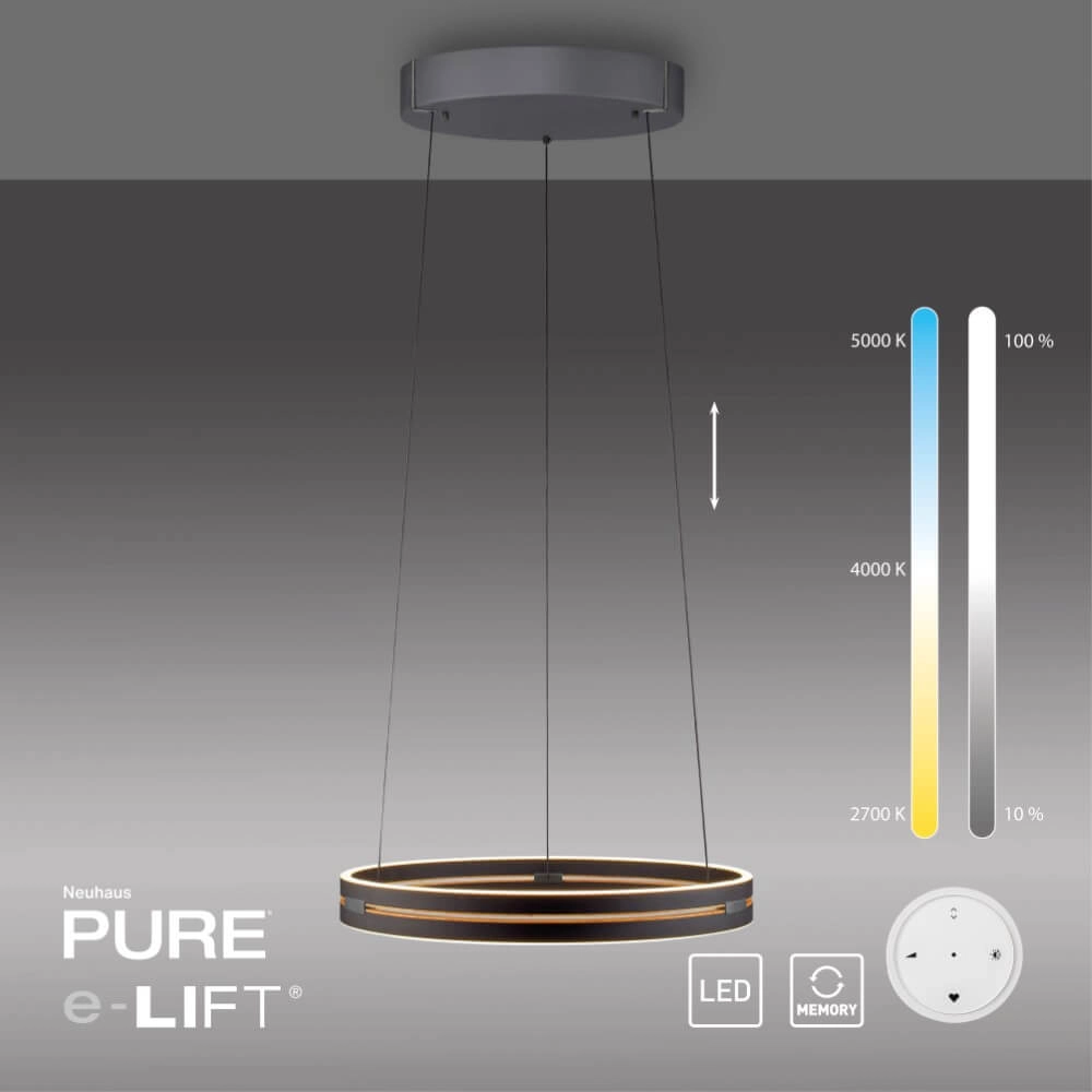 Strakke hanglamp Pure E-Loop zwart Paul Neuhaus 4012248386224