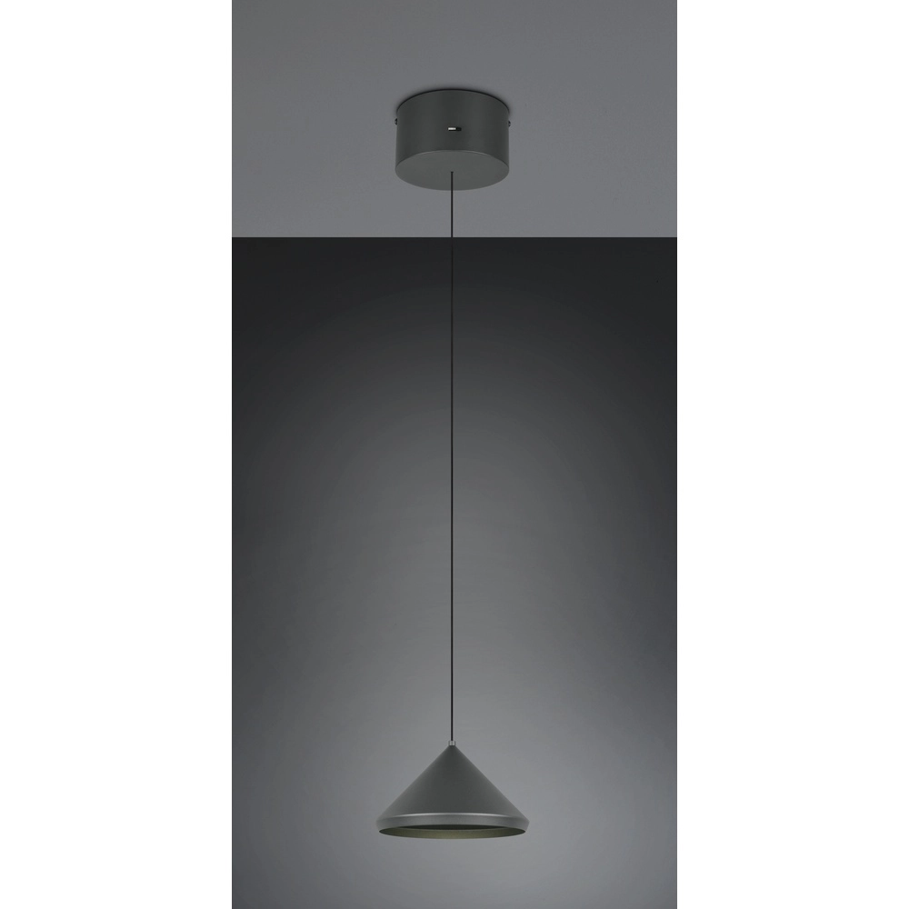 Moderne hanglamp Laguna Ø 18cm zwart Trio 4017807667608