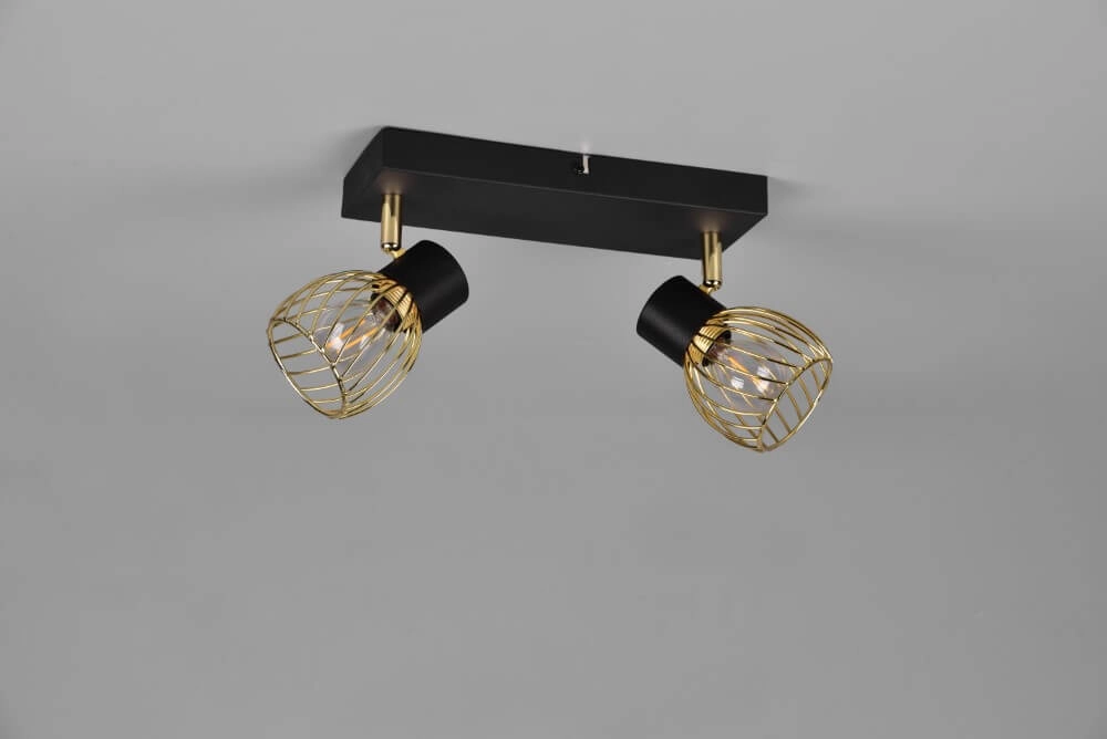Plafondlamp Ardon design 2-lichts Trio 4017807560909