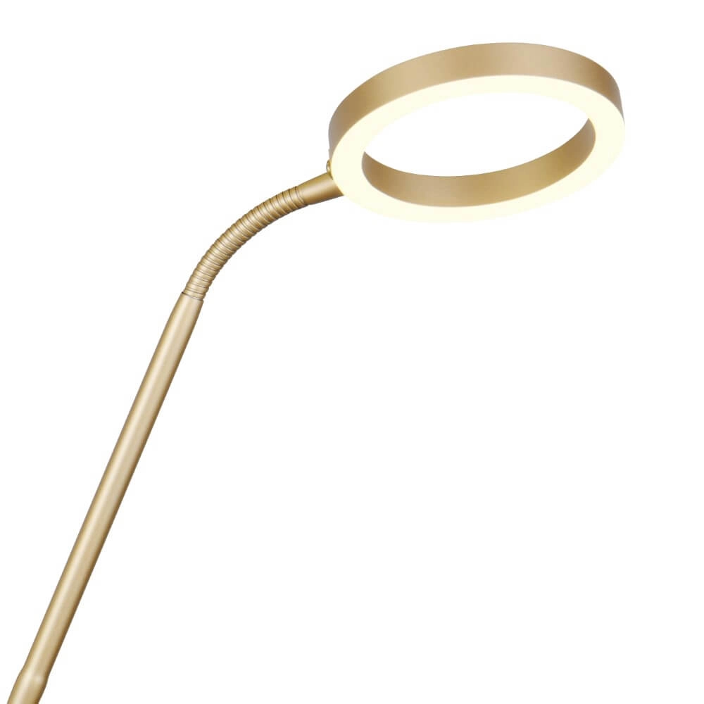 Design leeslamp Willis Goud - 180cm Trio 4017807627923
