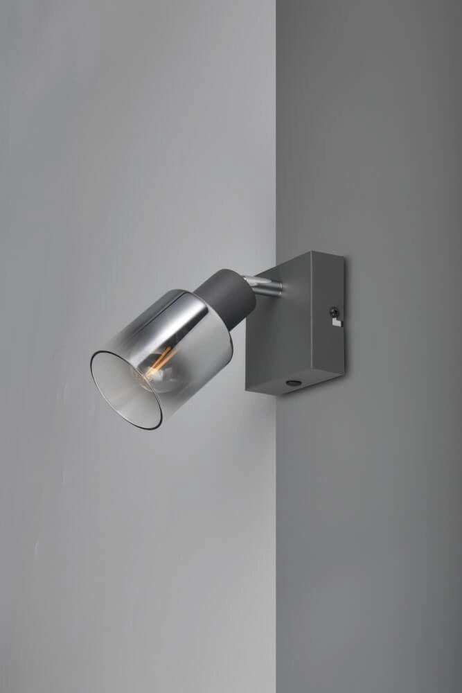 Zwart wandlampje Cadiz met smoke glas Trio 4017807615753