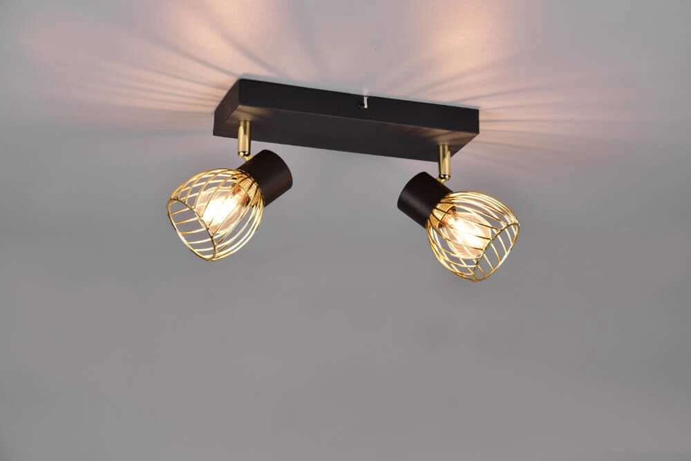 Plafondlamp Ardon design 2-lichts Trio 4017807560909