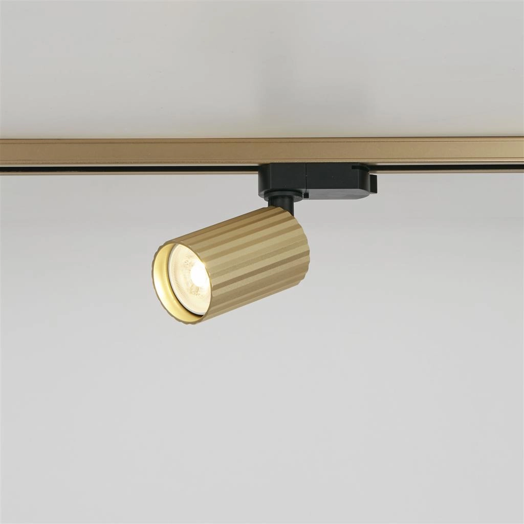Railspot Anna TraQ goud