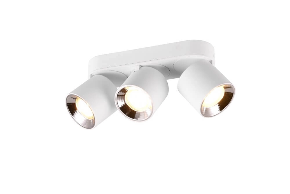 Plafondlamp Guayana 3-lichts wit Trio 4017807573985