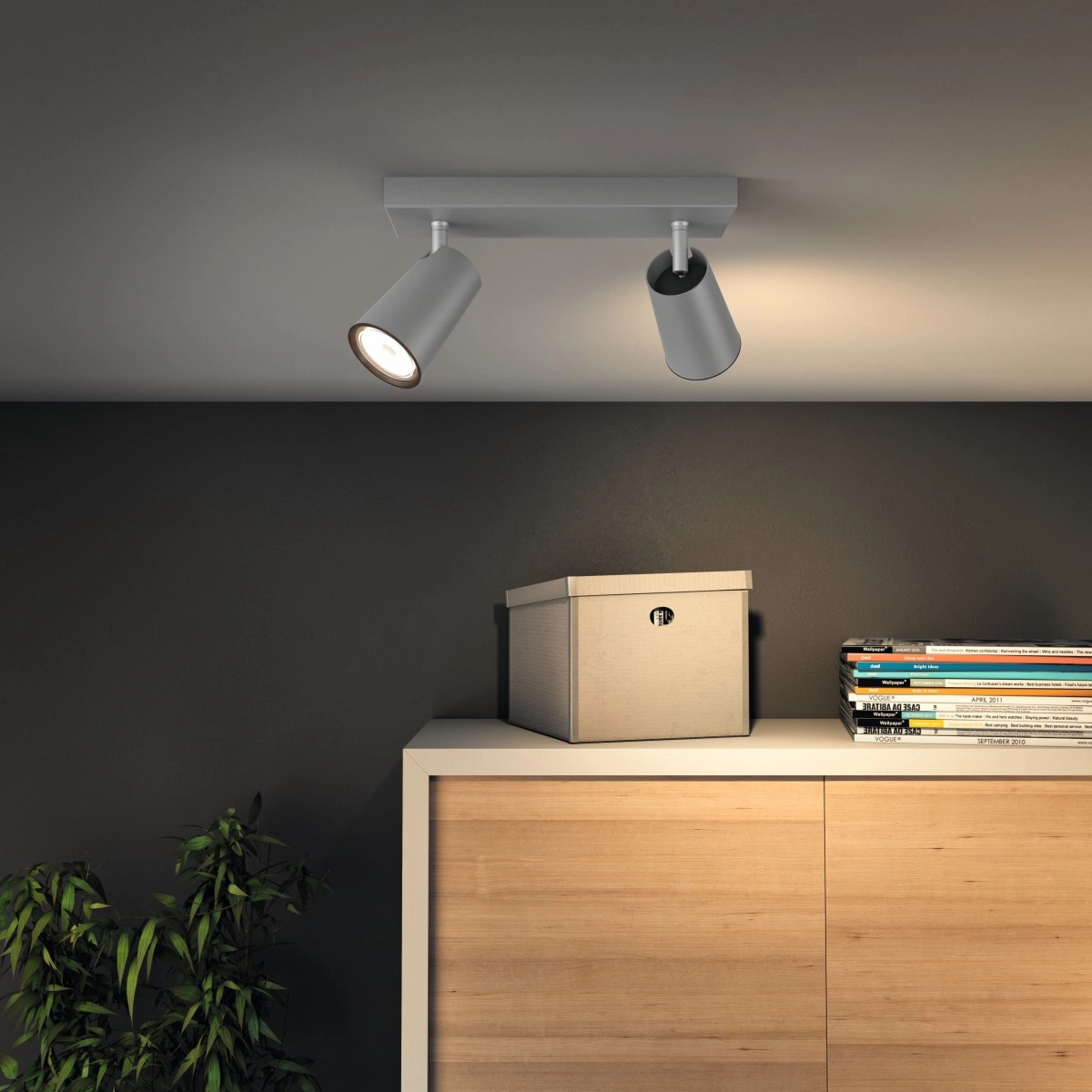 Opbouwspot Paisley 2-lichts grijs Philips 8718696164655