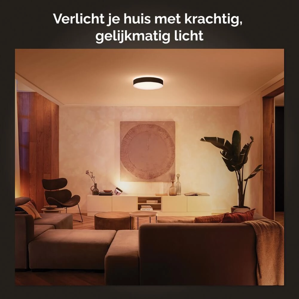 Plafondlamp Hue Enrave L - White Ambiance Ø 42,5cm zwart Philips 8718696176467