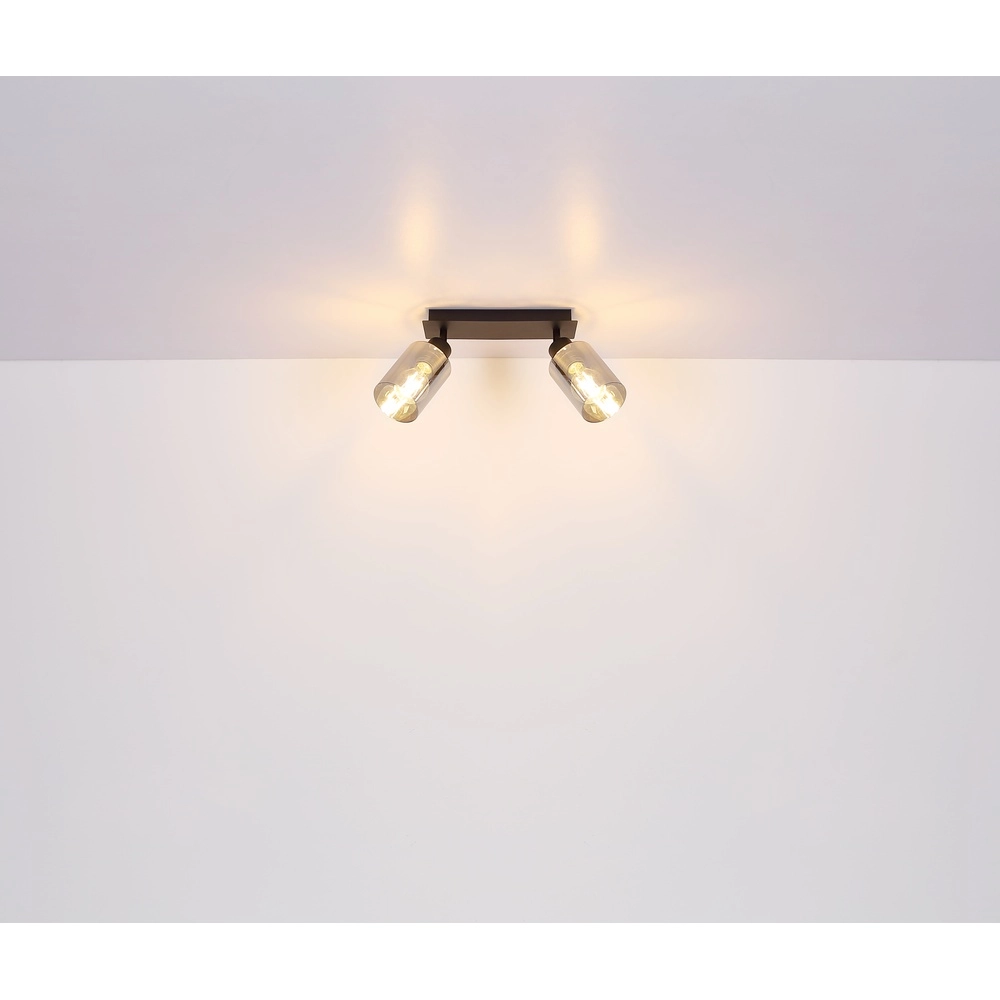 Plafondlamp Hadera 2-lichts zwart met smoke glas Globo 9007371440214