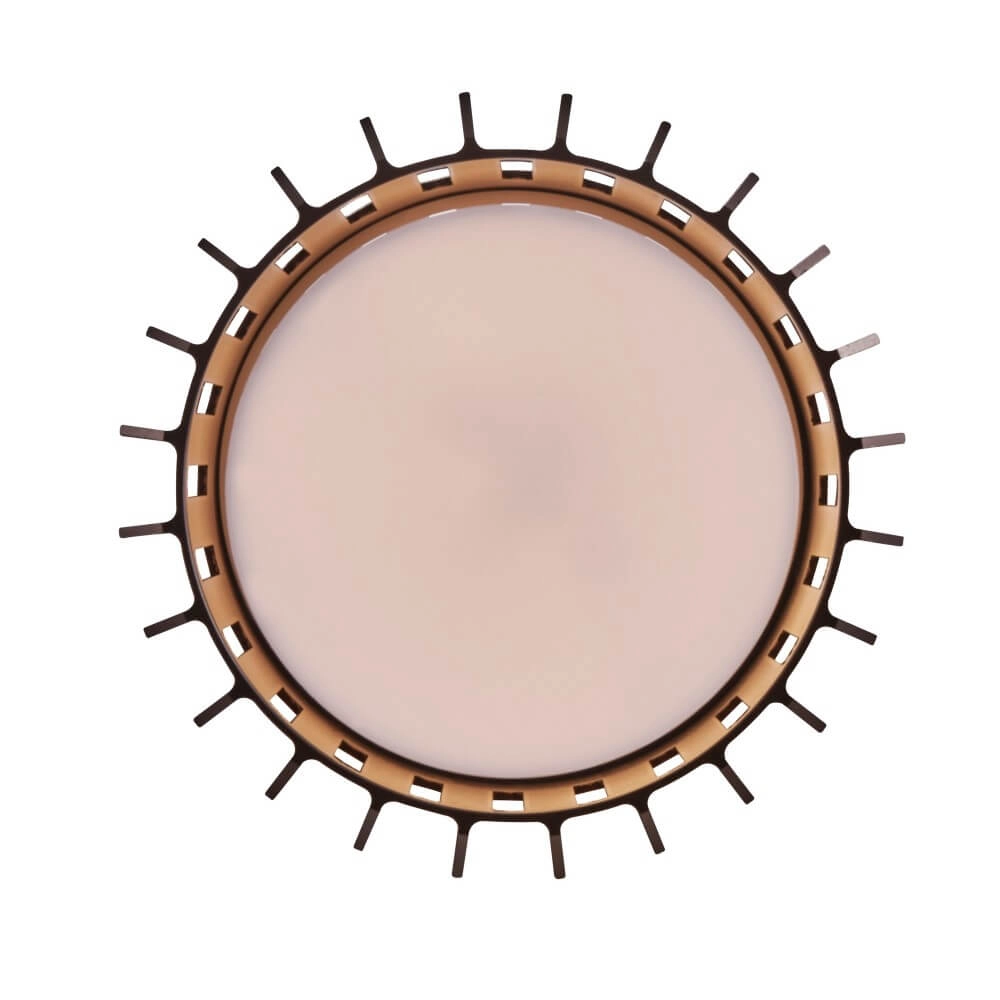 Buiten plafondlamp Aludra IP54 - bruin metallic Nordlux 5704924022012