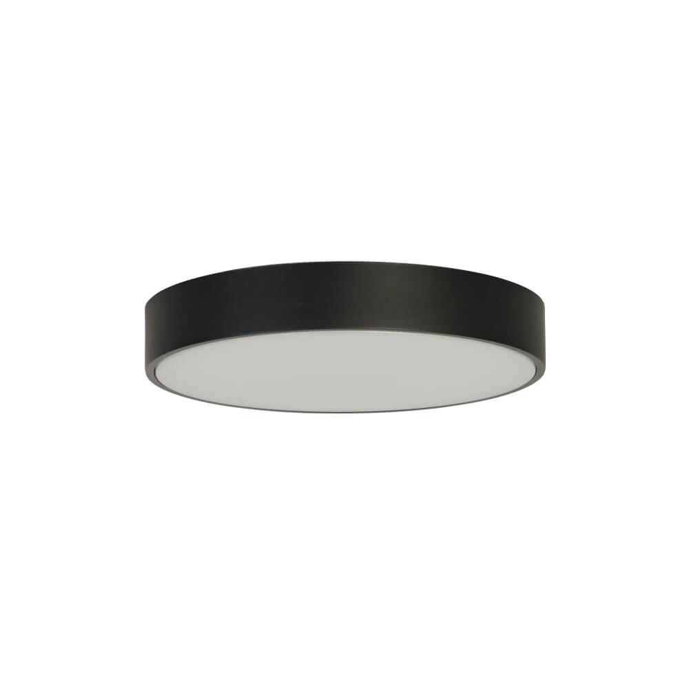 Plafondlamp Palma zwart met wit venster Searchlight 5053423273303