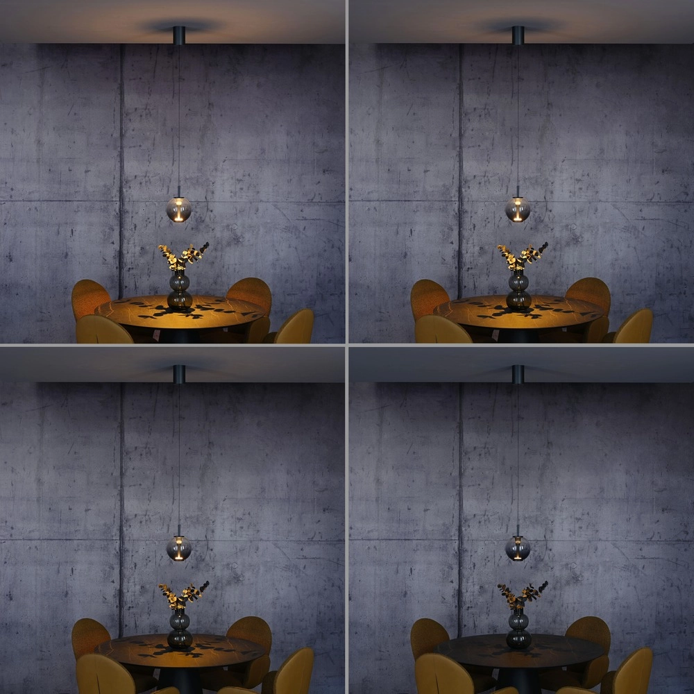 Led hanglamp Pure Infinity met smoke glas - Ø 18cm Paul Neuhaus 4012248399033