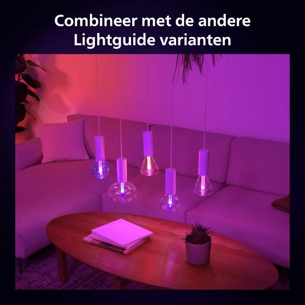 Hue Lightguide - 6,5W - White and color - Ellipse Philips 8719514419278